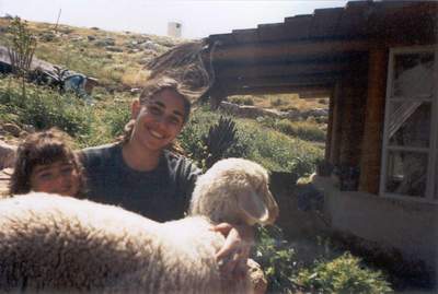 Petting sheep in Mitzpe Hagit