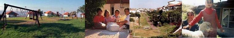 Pictures from Yesha communities